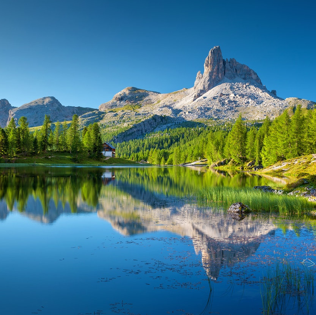 Picture of a mountain and pine tress reflecting on the surface of a lake.
